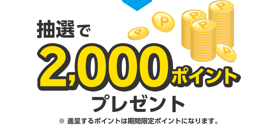 I2,000|Cgv[gi悷|Cg͊Ԍ|CgɂȂ܂B