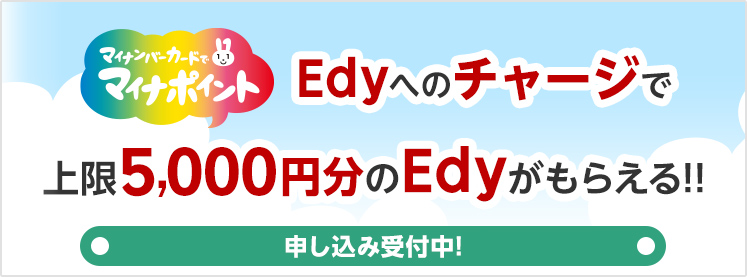 Edyւ̃`[Wŏ5000~Edy炦II