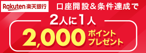 yVs J݁B2l1l 2,000|Cgv[g
